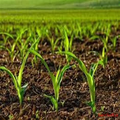 دانلود پروژه سناریو توصیف یوزکیس های سیستم خدمات کشاورزی