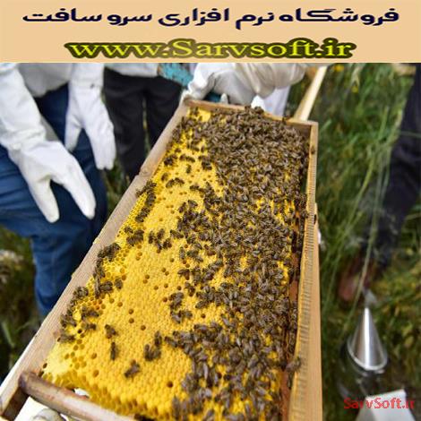 دانلود نمودار یوزکیس یا Use case مورد کاربرد زنبورداری