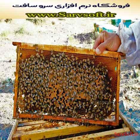 دانلود پروژه بانک اطلاعاتی زنبورداری با پستگرس اس کیو ال postgres sql