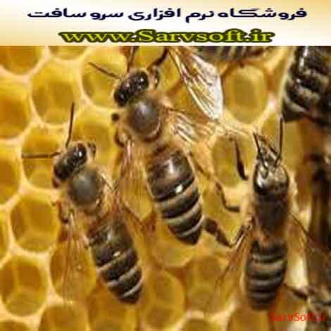 دانلود پروژه بانک اطلاعاتی زنبورداری با اس کیو ال لایت یا sqllite
